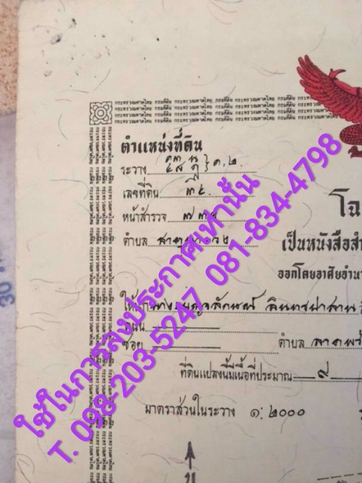 ที่ดินเปล่า-มีโฉนด-ราคาถูก-ตธาตุนาเวง-อเมือง-จสกลนคร