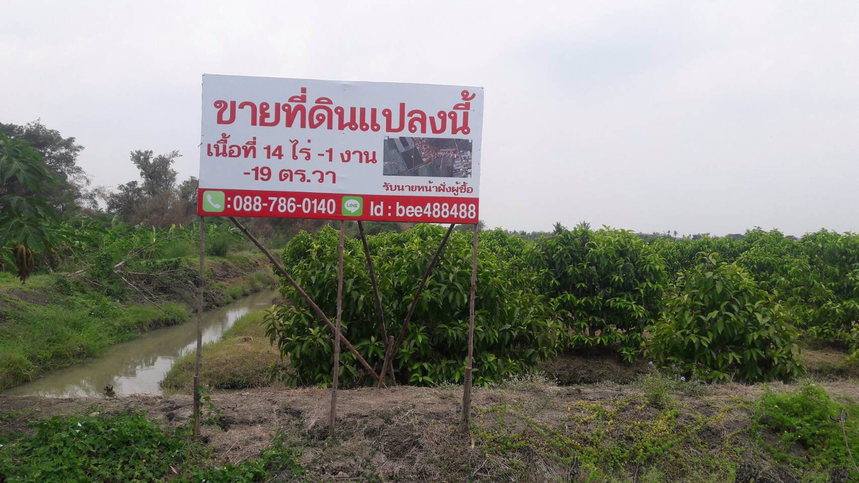 ที่ดินสวนจำปา-บางบอน4-ซอยประสิทธิ์4-3