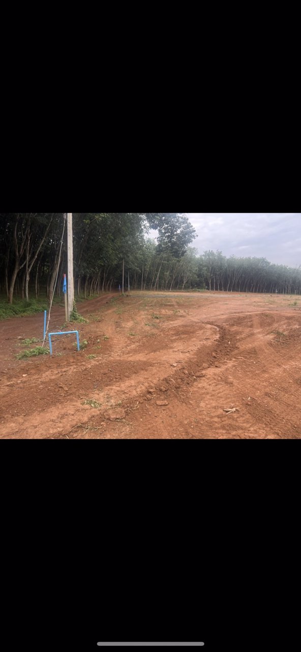 ขายที่ดินแบ่งขายวังจันทร์วัลเล่ย์-ผ่อนได้-อวังจันทร์-จระยอง