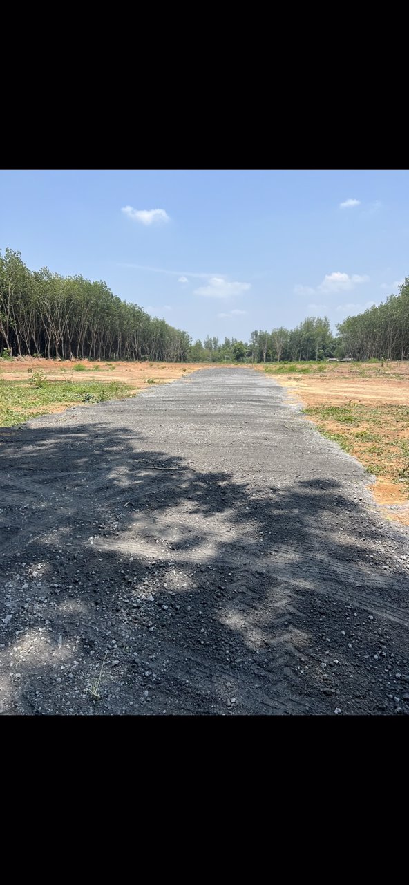 ขายที่ดินแบ่งขายวังจันทร์วัลเล่ย์-ผ่อนได้-อวังจันทร์-จระยอง