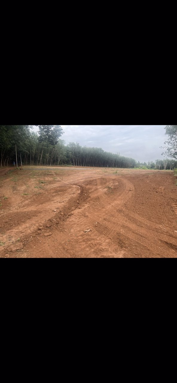 ขายที่ดินแบ่งขายวังจันทร์วัลเล่ย์-ผ่อนได้-อวังจันทร์-จระยอง