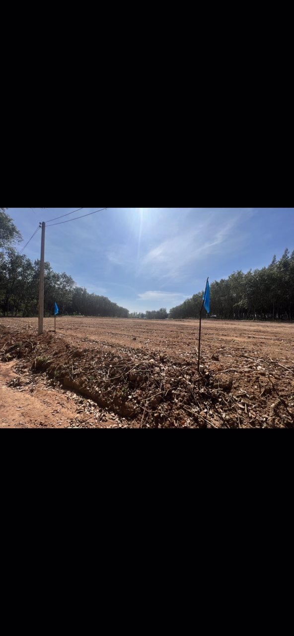 ขายที่ดินแบ่งขายวังจันทร์วัลเล่ย์-ผ่อนได้-อวังจันทร์-จระยอง