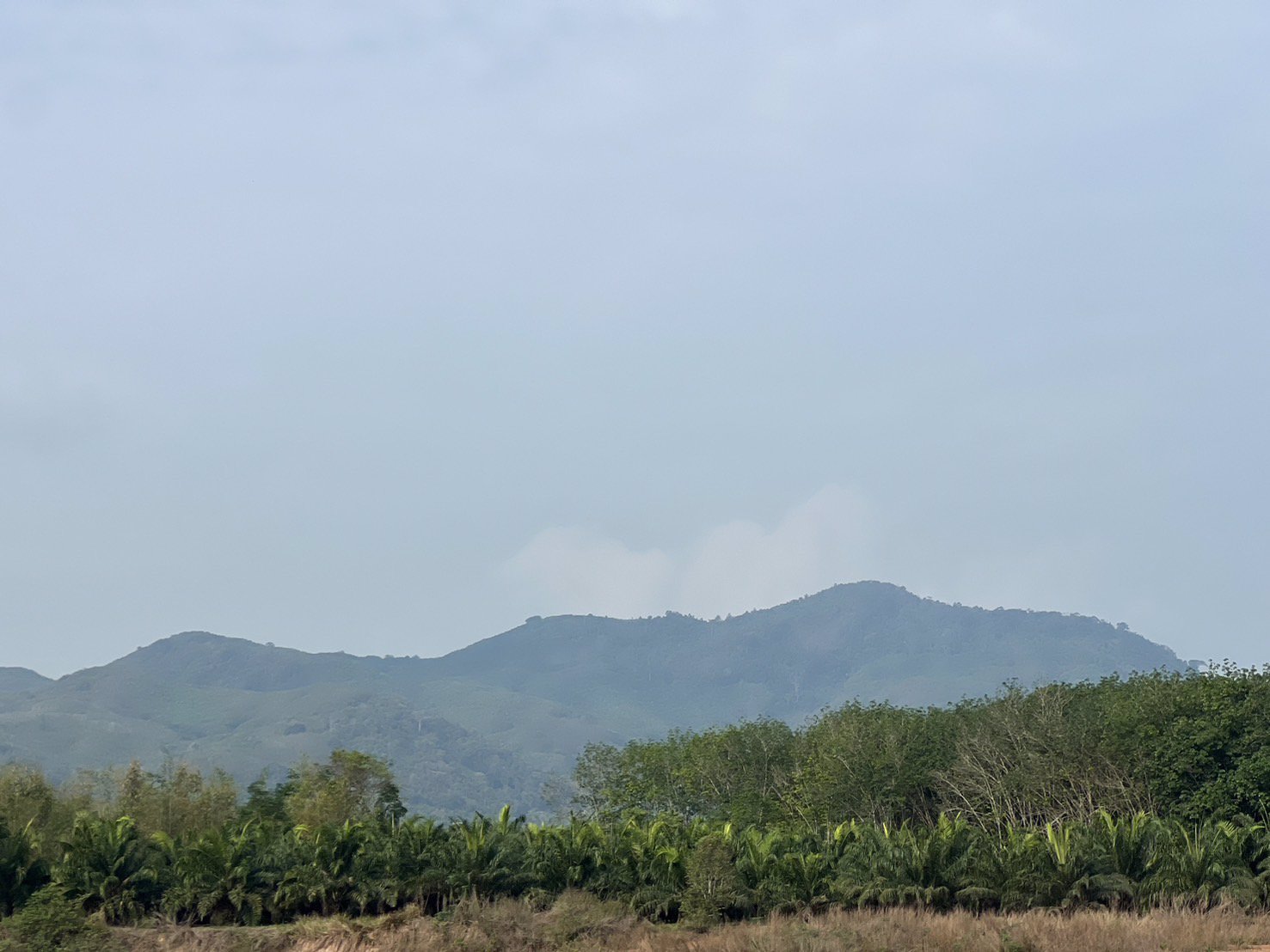 ขายที่ดินแบ่งขายวังจันทร์วัลเล่ย์-ผ่อนได้-อวังจันทร์-จระยอง