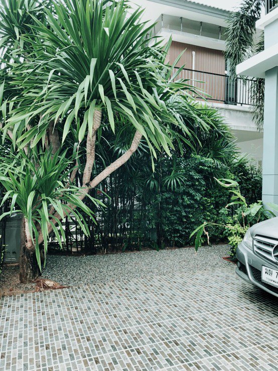 ขายและให้เช่า-บ้านเดี่ยวโครงการหรู-เลคนครา-ขอนแก่น-ขนาด-72-ตารางวา-พื้นที่ใช้สอย-211-ตารางเมตร-4-ห