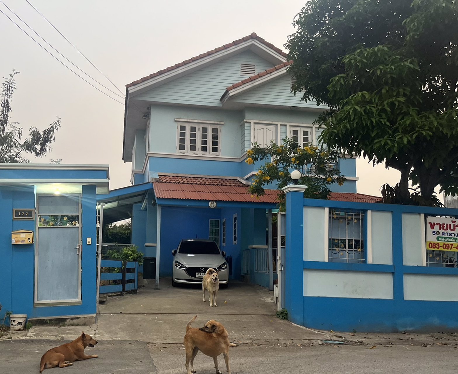 ขายบ้านเดี่ยว-2ชั้น-พื้นที่-56-ตารางวา