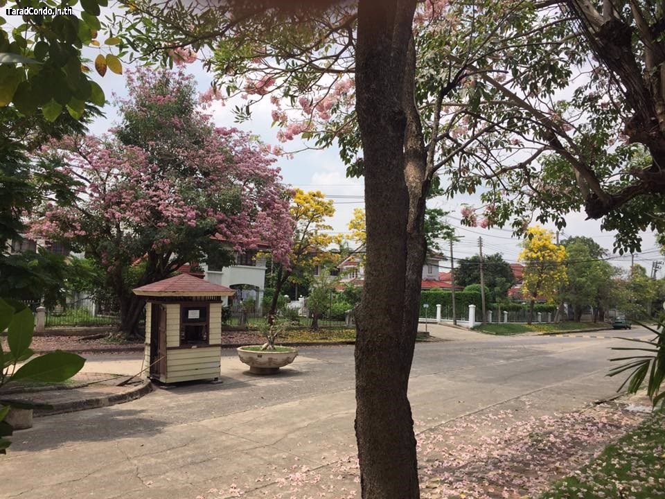 ขายที่ดินในหมู่บ้านจัดสรร-สีวลี1รังสิต-คลอง2-ถนนรังสิต-นครนายก-ตประชาธิปัตย์-ปทุมธานี