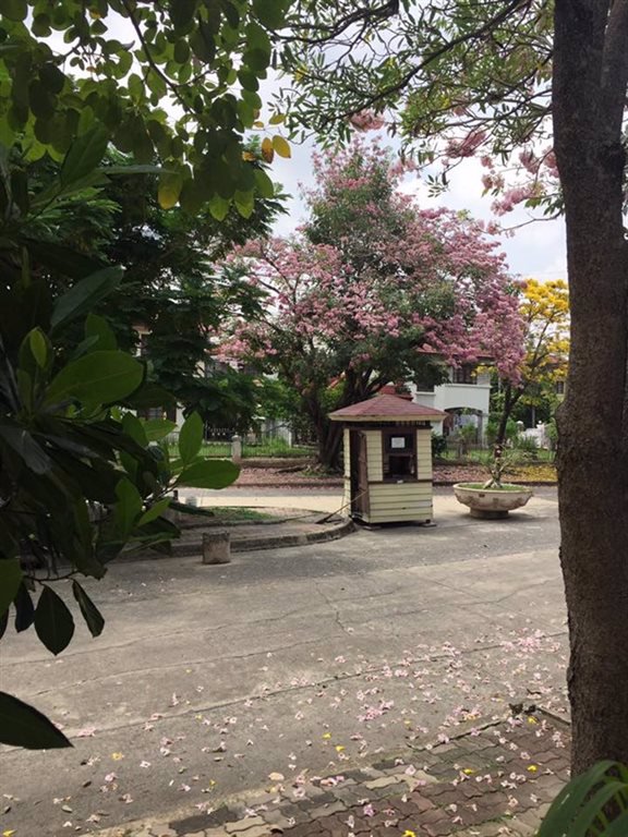 ขายที่ดินในหมู่บ้านจัดสรร-สีวลี1รังสิต-คลอง2-ถนนรังสิต-นครนายก-ตประชาธิปัตย์-ปทุมธานี