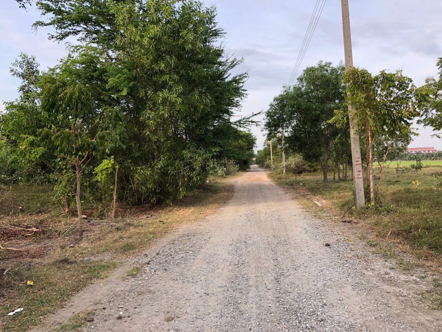 ขายที่ดิน-บางคล้า-ฉะเชิงเทรา