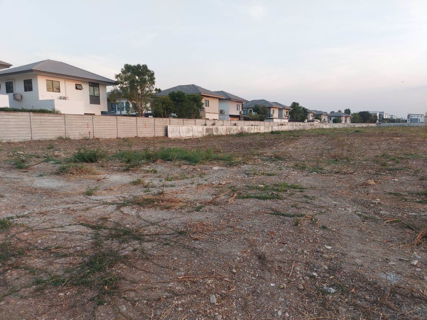 ricco-land-บางใหญ่-ที่ดินสำเร็จรูป-ทำเลสวย-อบางใหญ่-จนนทบุรี