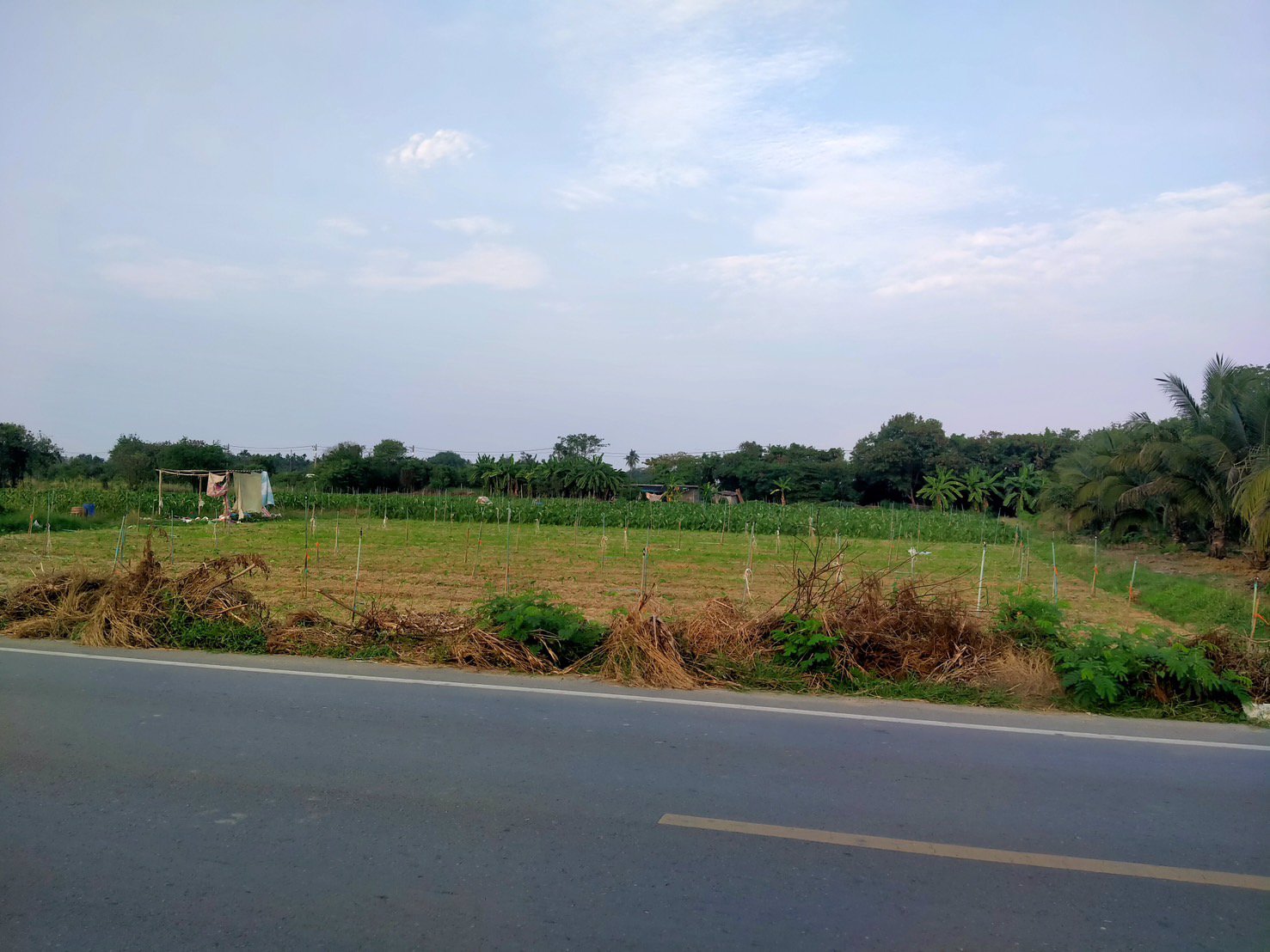 ท่านใดกำลังมองหาที่ดินถมแล้ว-ที่สวย-ทำเลดี-หน้าที่ดินติดถนนลาดยาง