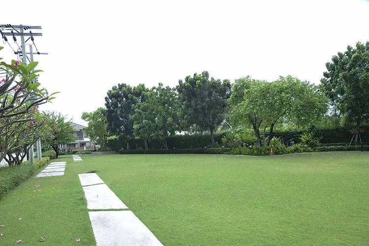 บ้าน-ทำเลทอง-ใจกลางกรุงเทพ-เดินทางสะดวก-ใกล้ทางด่วน-รถไฟฟ้า-ย่านพัฒนาการ