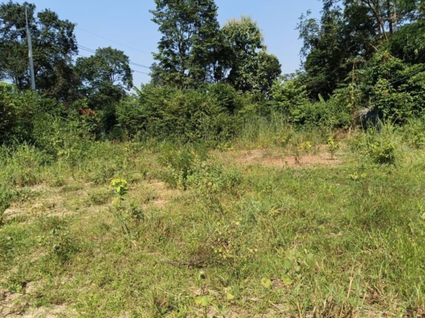 ขาย-ที่ดินตาบอดเยื้องร้านอาหารหมวดจรูญ