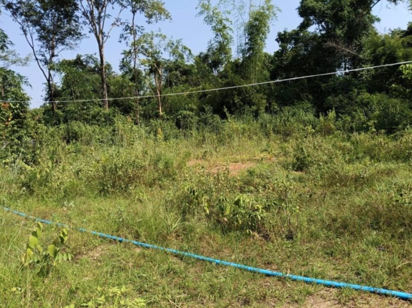 ขาย-ที่ดินตาบอดเยื้องร้านอาหารหมวดจรูญ