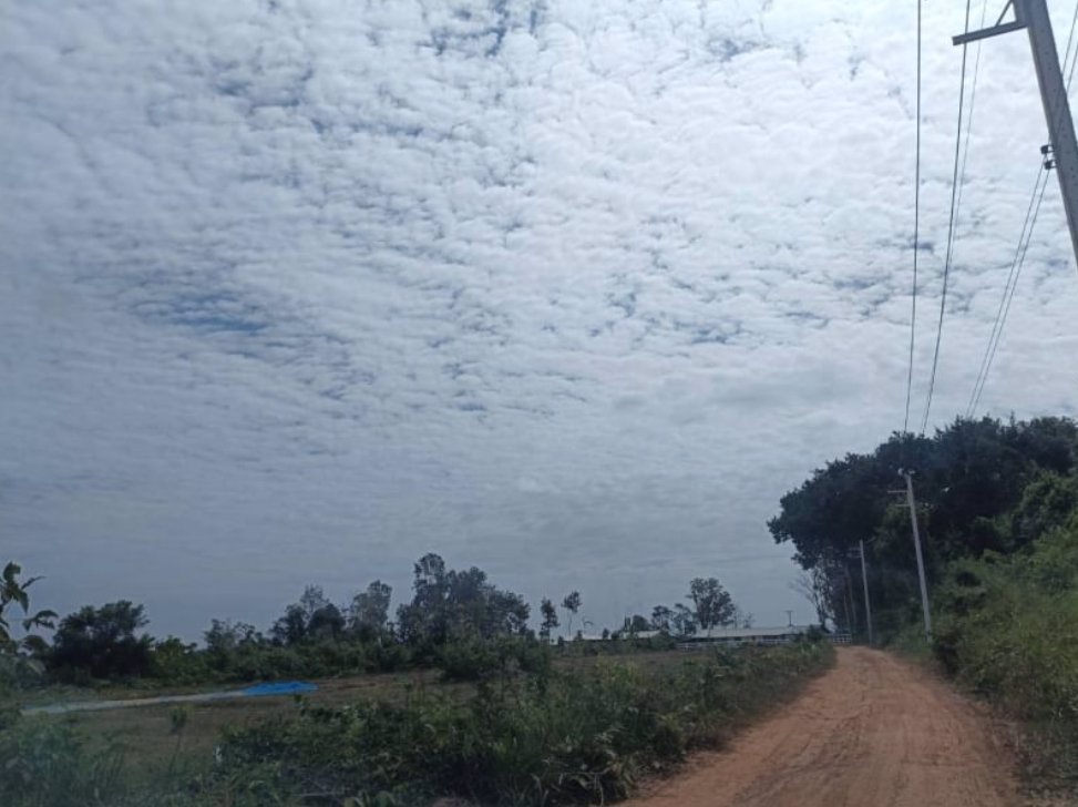 ขายบ้านพร้อมที่ดิน-ขนาด-1ไร่-3งาน