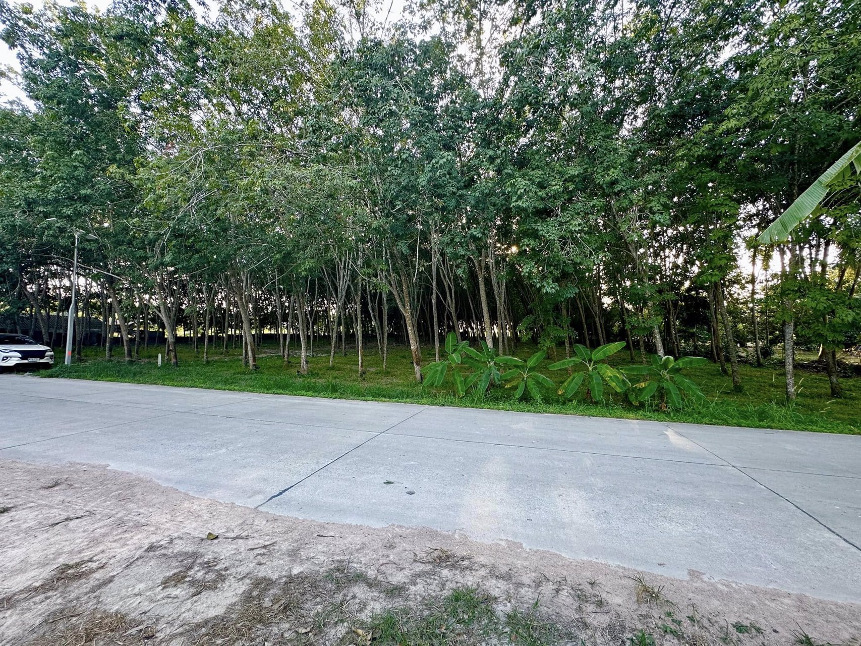 ขายด่วน-ที่ดิน-อบ้านค่าย-จระยอง