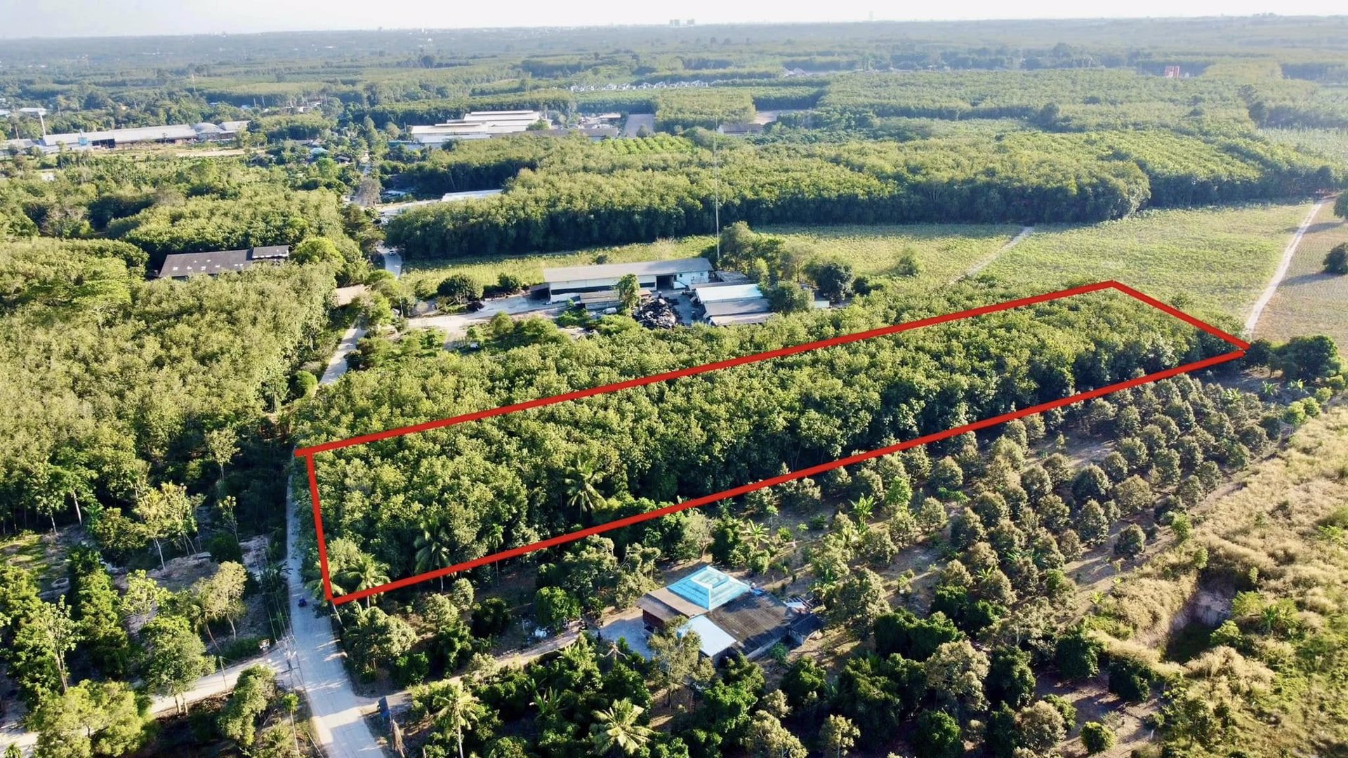 ขายด่วน-ที่ดิน-อบ้านค่าย-จระยอง