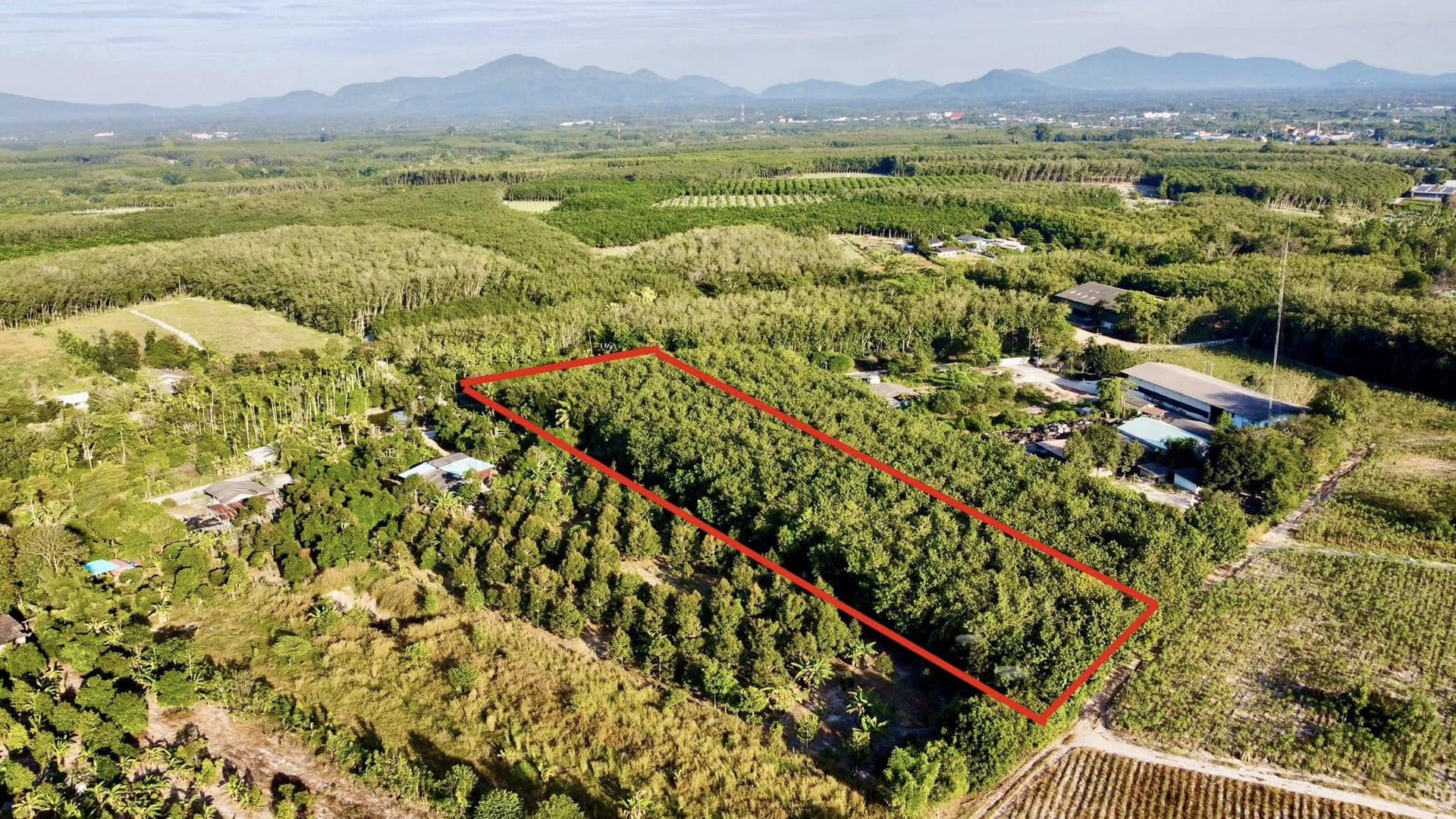 ขายด่วน-ที่ดิน-อบ้านค่าย-จระยอง