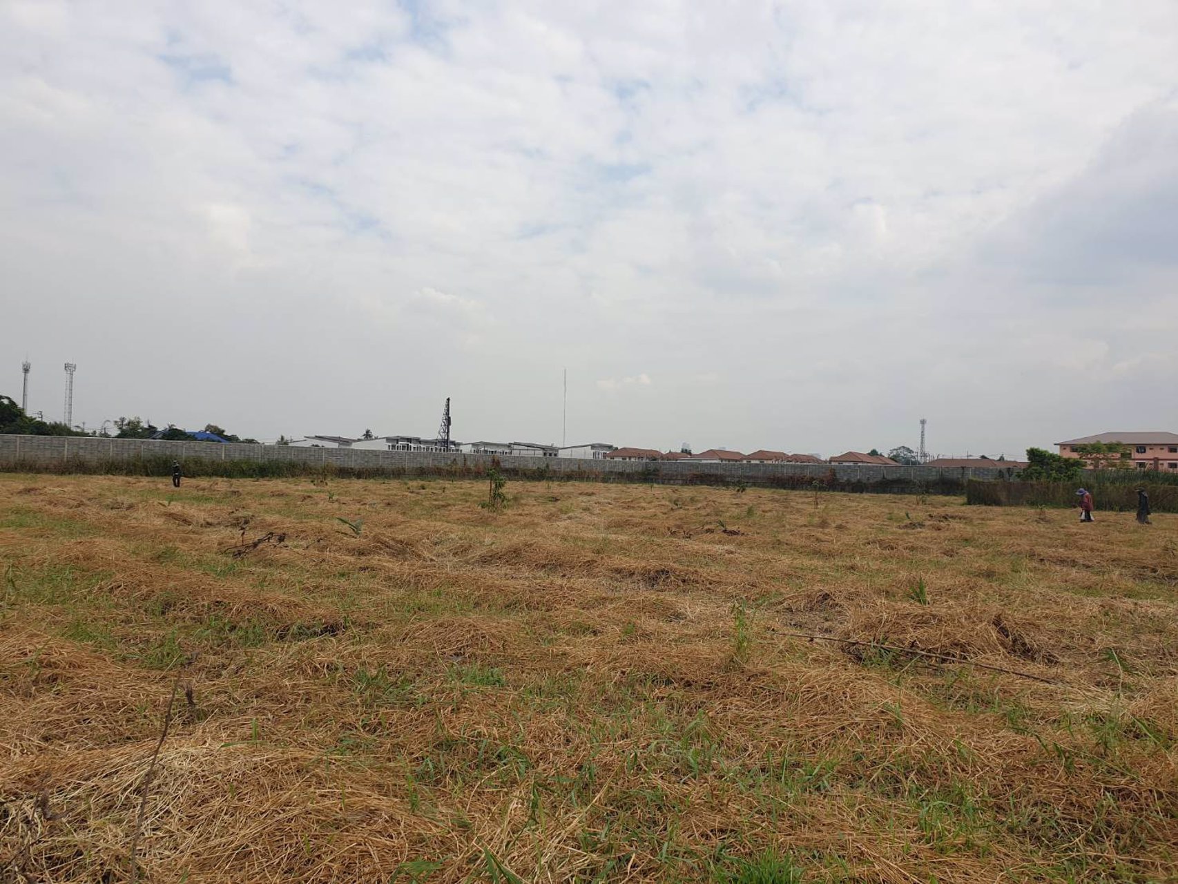 ที่ดินเปล่าวัดไผ่เหลือง