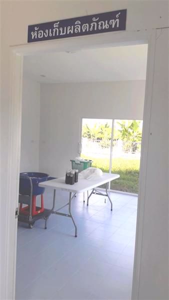 ขายที่ดิน-521ตรว-พร้อมต้นลำไย29ต้น-พร้อมอาคาร-อ-สารภี-จ-เชียงใหม่-ต-สันทราย