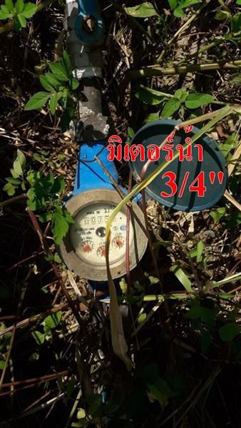 ขายที่ดิน-521ตรว-พร้อมต้นลำไย29ต้น-พร้อมอาคาร-อ-สารภี-จ-เชียงใหม่-ต-สันทราย