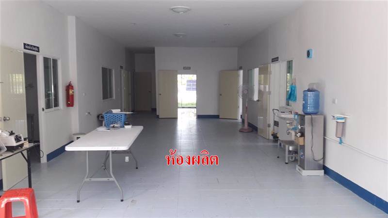 ขายที่ดิน-521ตรว-พร้อมต้นลำไย29ต้น-พร้อมอาคาร-อ-สารภี-จ-เชียงใหม่-ต-สันทราย