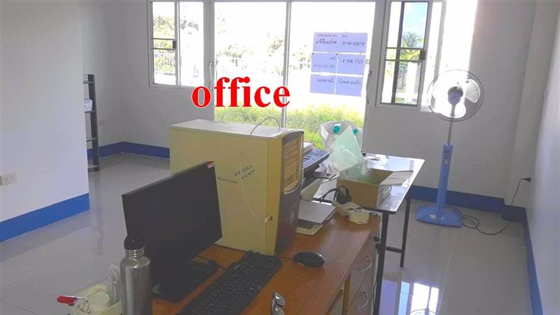 ขายที่ดิน-521ตรว-พร้อมต้นลำไย29ต้น-พร้อมอาคาร-อ-สารภี-จ-เชียงใหม่-ต-สันทราย