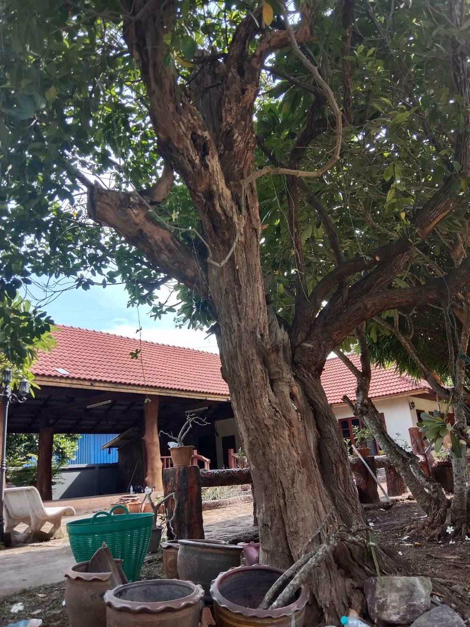 ขายที่ดิน-2-ไร่-1-งาน-พร้อมบ้าน-ติดถนน-2-ด้าน-ติดตลาด-อเมือง-จอุดรธานี-ขาย-15-ล้านบาท