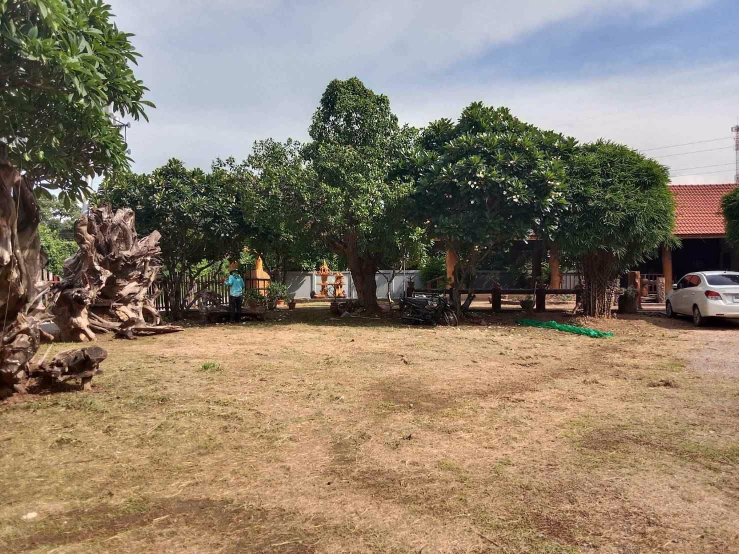 ขายที่ดิน-2-ไร่-1-งาน-พร้อมบ้าน-ติดถนน-2-ด้าน-ติดตลาด-อเมือง-จอุดรธานี-ขาย-15-ล้านบาท