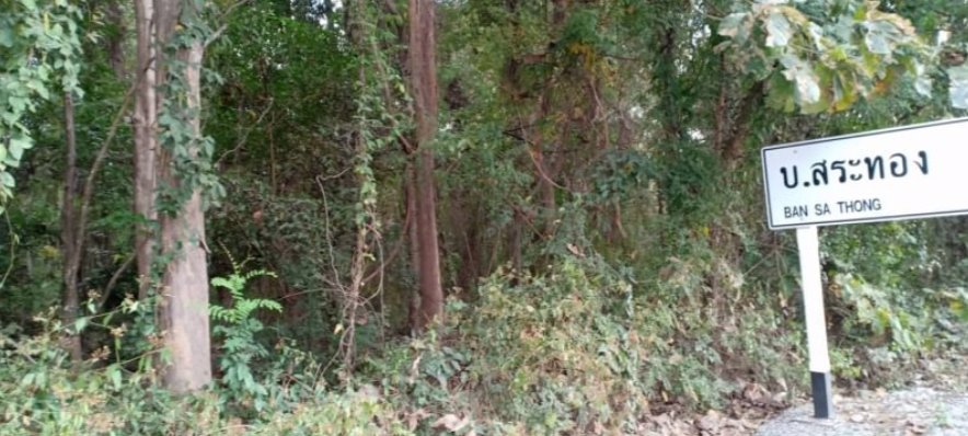 ขายที่ดินพร้อมสวนป่า5ไร่-แบ่งขายตามกำลังเงิน-ผ่อนได้-