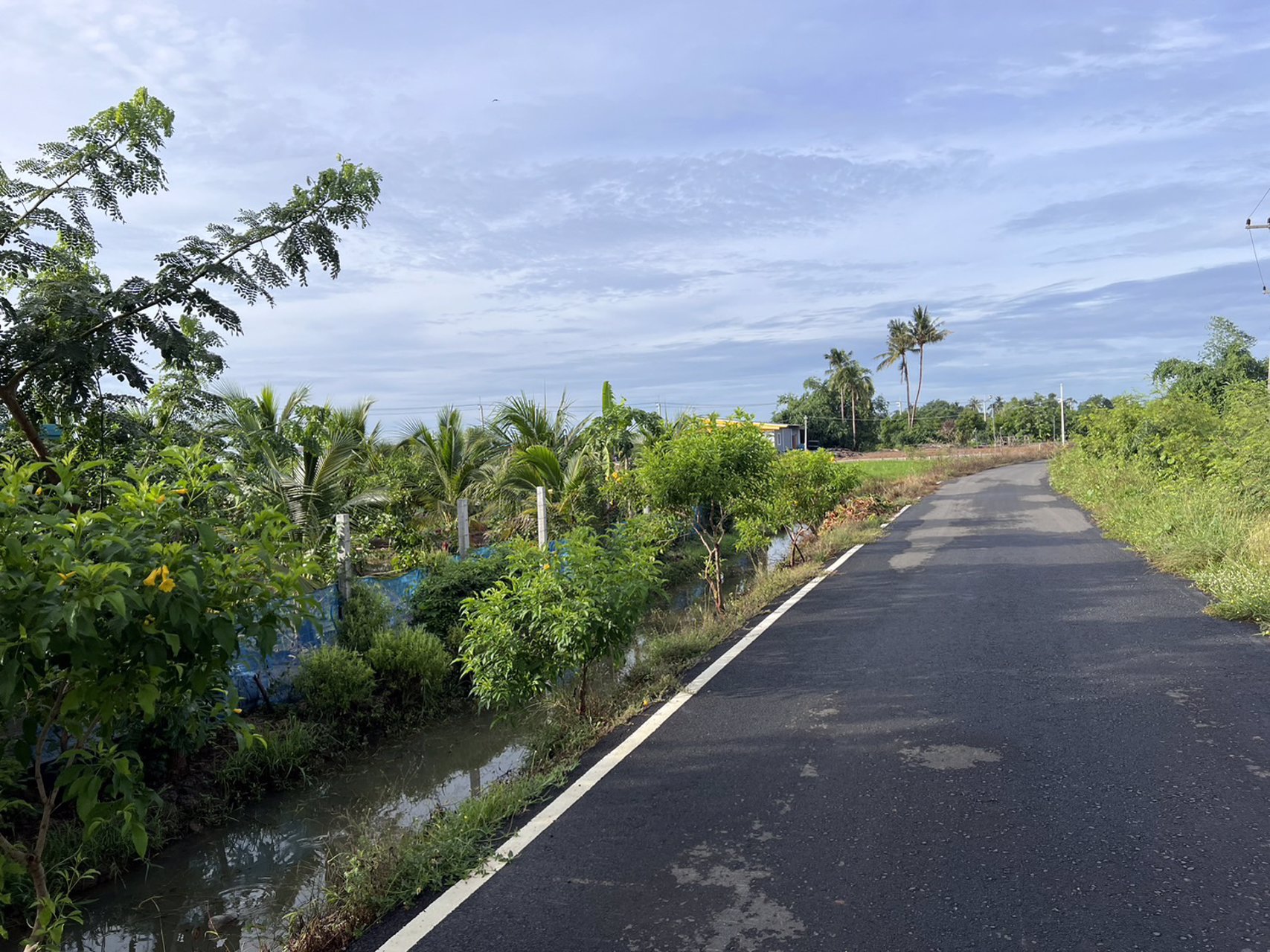 ขายด่วน-ขายที่ดินสวย-2-2-20-ไร่-ติดแม่น้ำท่าจีน-หน้าติดถนนลาดยาง-อหันคา-จชัยนาท