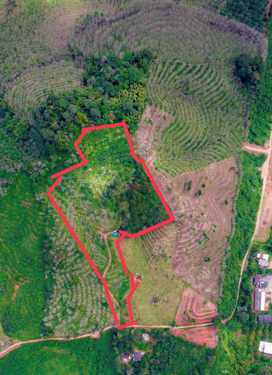 ขายที่ดินโครงการกะปงวิวหมอก-เนื้อที่-16-1-96-ไร่