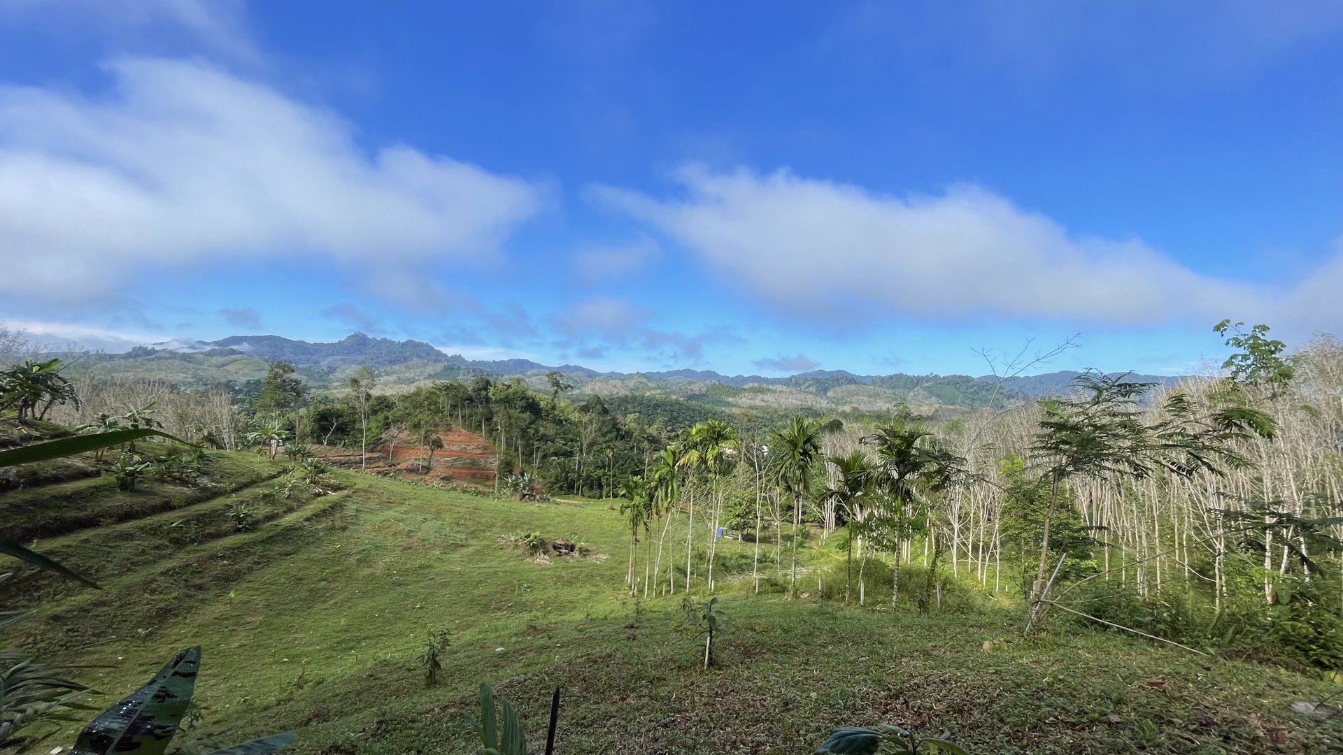 ขายที่ดินโครงการกะปงวิวหมอก-เนื้อที่-16-1-96-ไร่