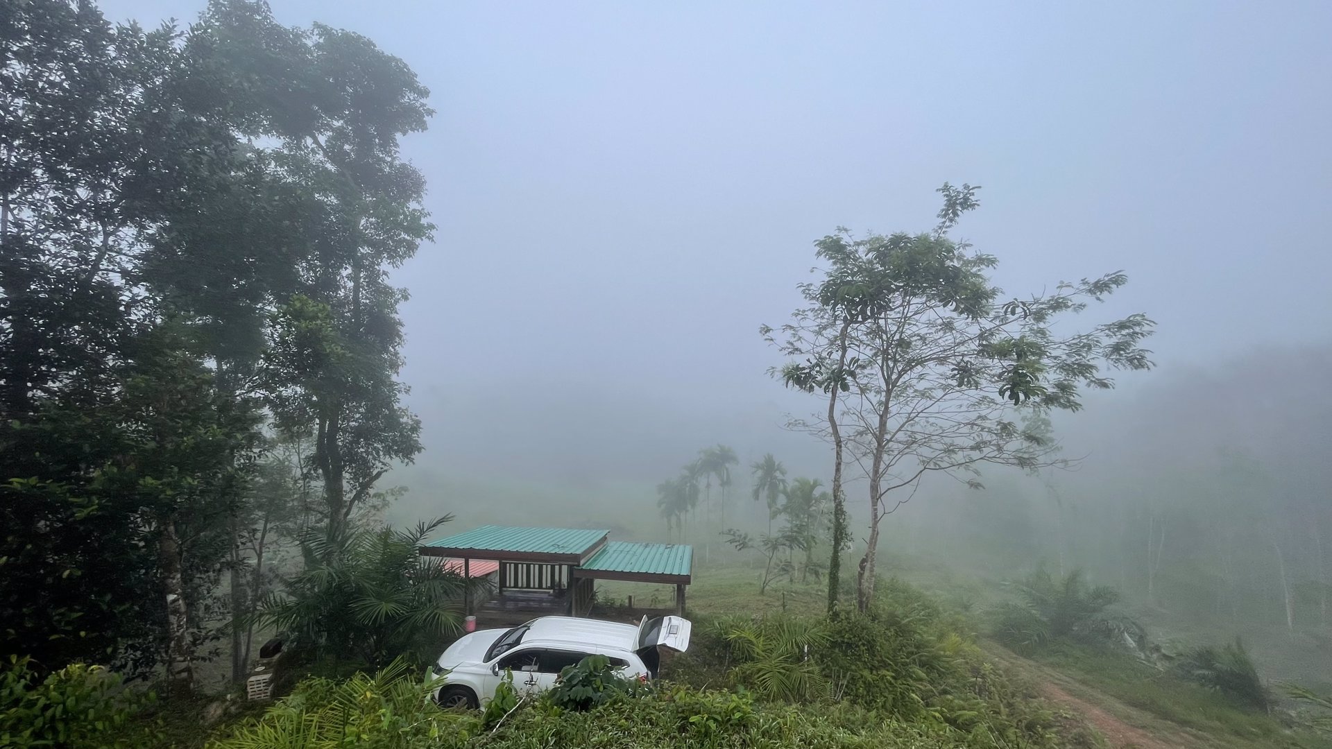 ขายที่ดินโครงการกะปงวิวหมอก-เนื้อที่-16-1-96-ไร่