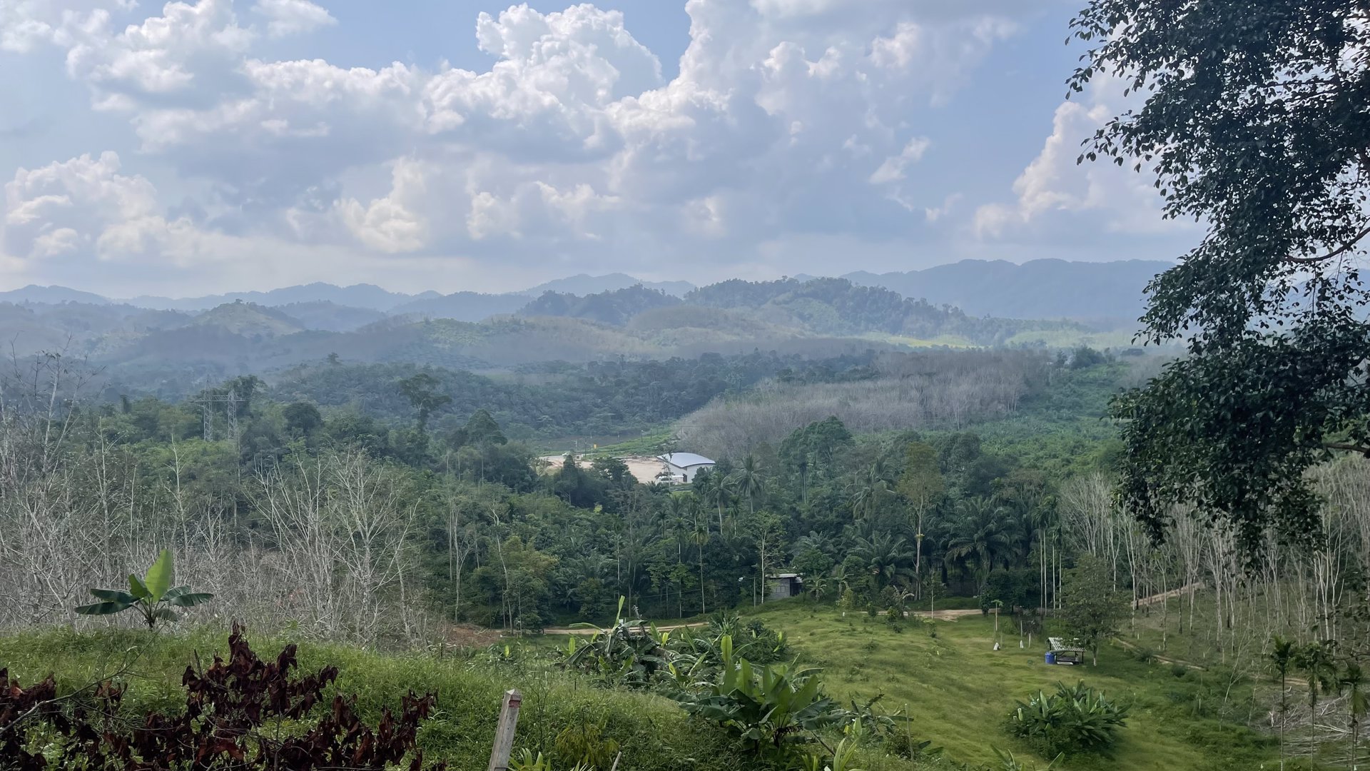 ขายที่ดินโครงการกะปงวิวหมอก-เนื้อที่-16-1-96-ไร่