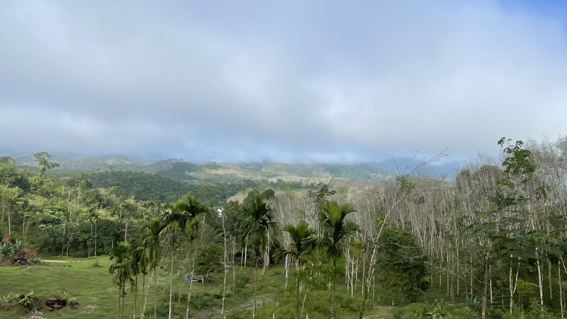 ขายที่ดินโครงการกะปงวิวหมอก-เนื้อที่-16-1-96-ไร่