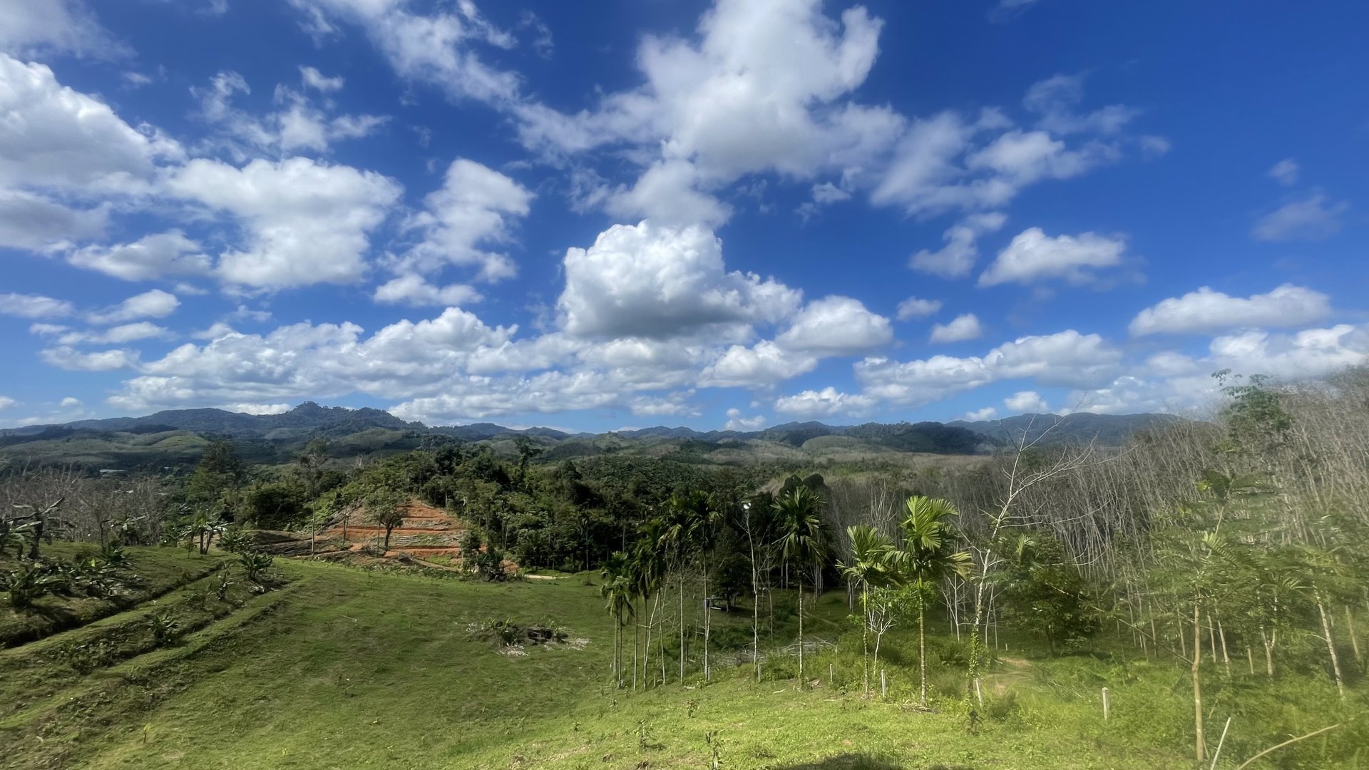 ขายที่ดินโครงการกะปงวิวหมอก-เนื้อที่-16-1-96-ไร่