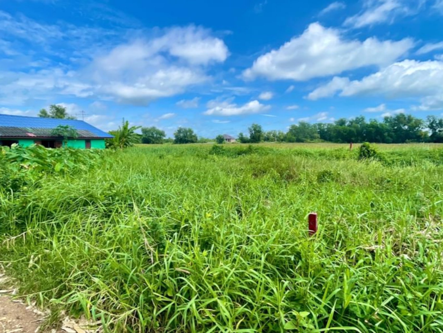 ขายด่วน-ที่ดินเปล่า-ที่ดินเปล่า-คลองห้า-ซอยคลองห้าตะวันออก-39-ซอยเสน่ห์-