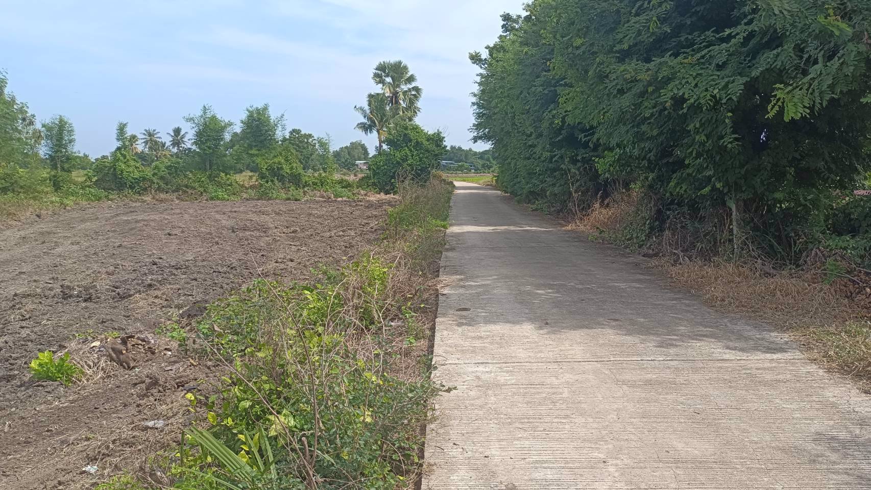 ขายที่ดินเเปลงเล็ก-180-ตารางวา-ถมเเล้ว-ราคาถูกๆ