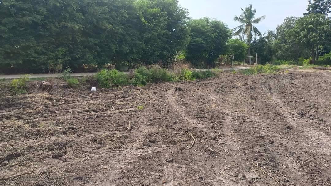 ขายที่ดินเเปลงเล็ก-180-ตารางวา-ถมเเล้ว-ราคาถูกๆ