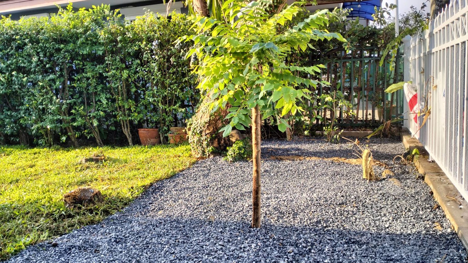 ขายบ้านเดี่ยวชั้นเดียว-พื้นที่-58-ตารางวา-3-ห้องนอน-2-ห้องน้ำ