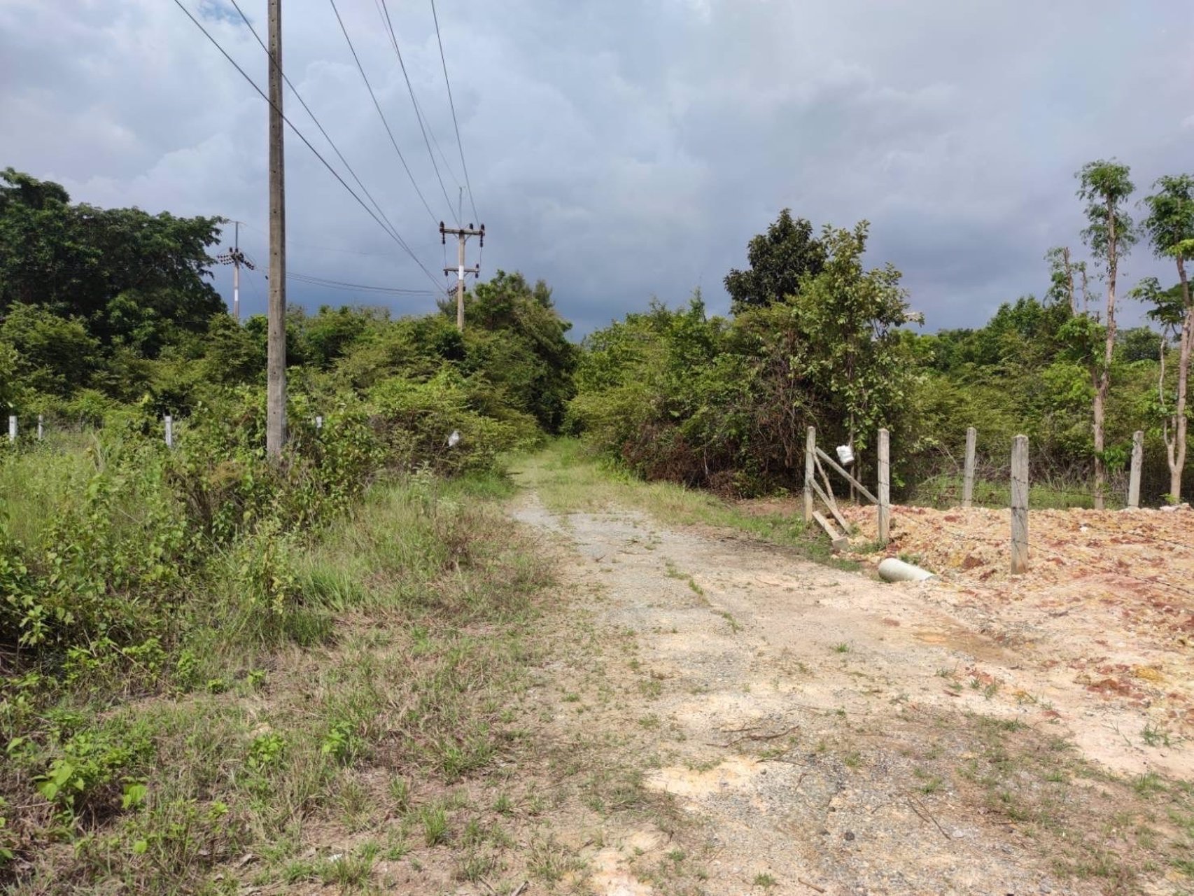 ขายที่ดินเหมาะปลูกบ้าน-50-ตรวโคกสูง-โคราช