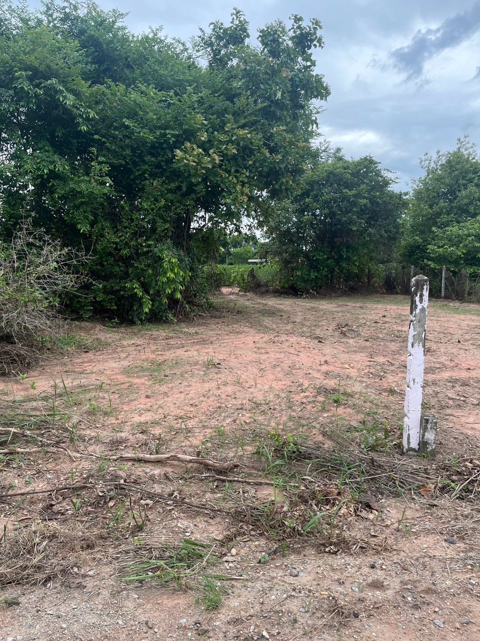 ขายที่ดินเหมาะปลูกบ้าน-50-ตรวโคกสูง-โคราช