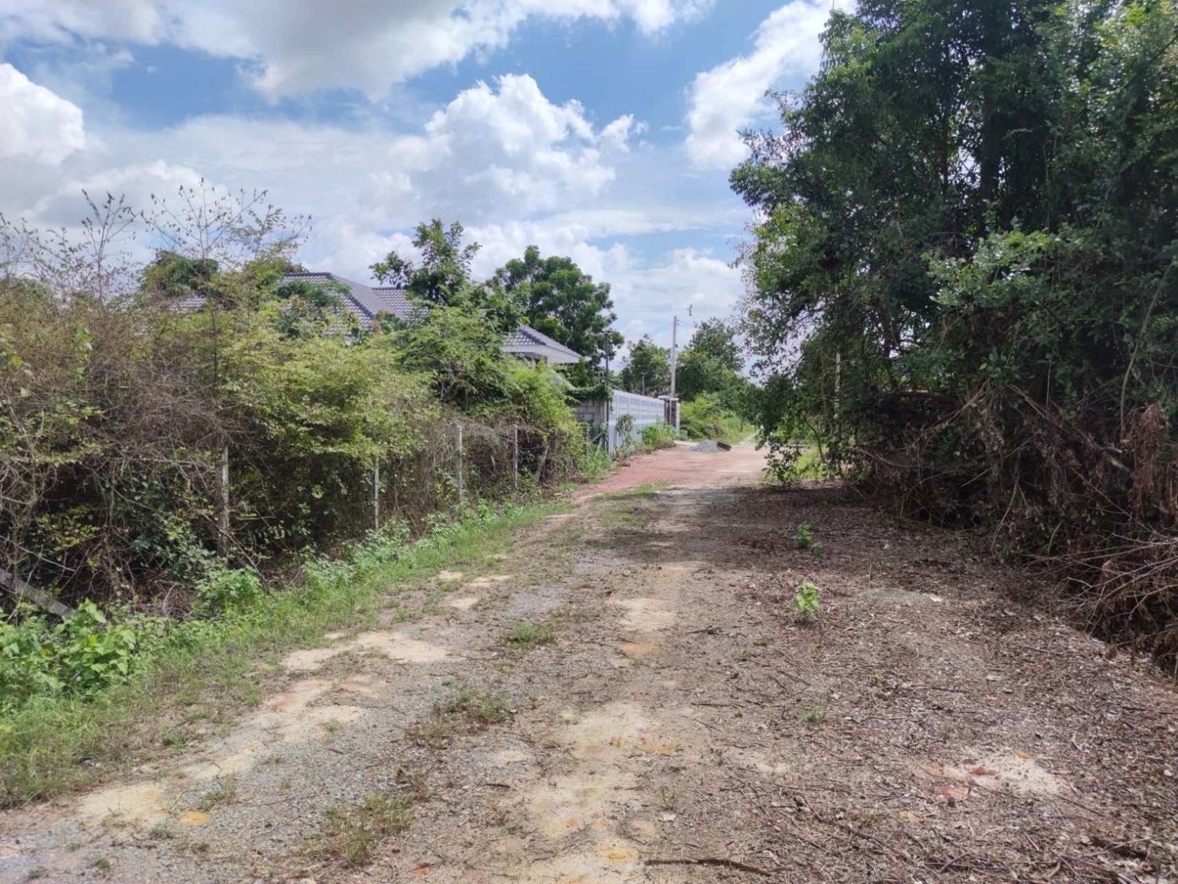 ขายที่ดินเหมาะปลูกบ้าน-50-ตรวโคกสูง-โคราช