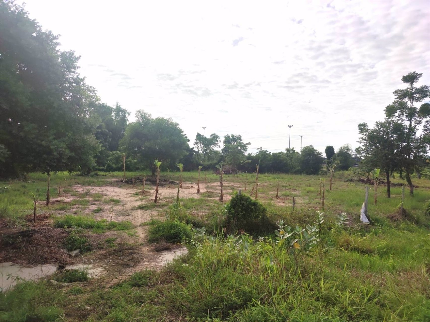 ขายที่ดินติดถนนสี่เลนใกล้ถนนมิตรภาพ-1-ไร่-3-งาน-2-ตรว