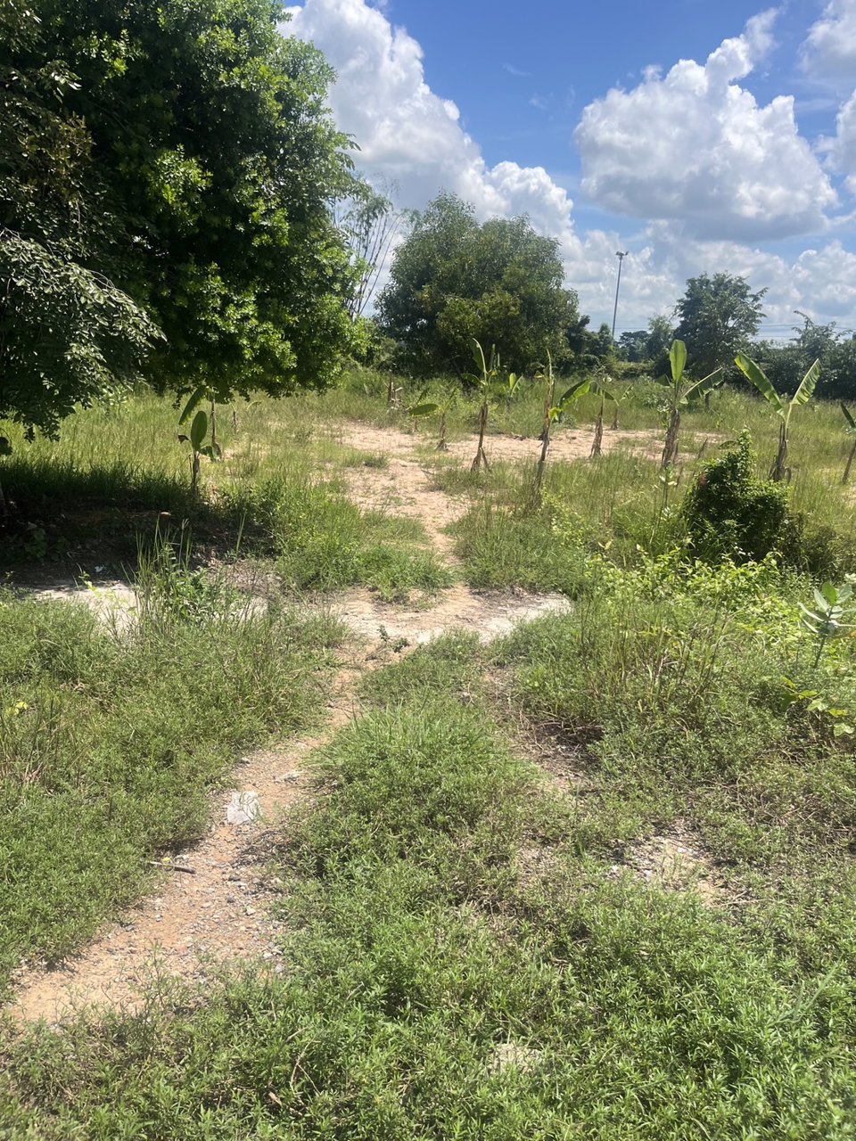 ขายที่ดินติดถนนสี่เลนใกล้ถนนมิตรภาพ-1-ไร่-3-งาน-2-ตรว