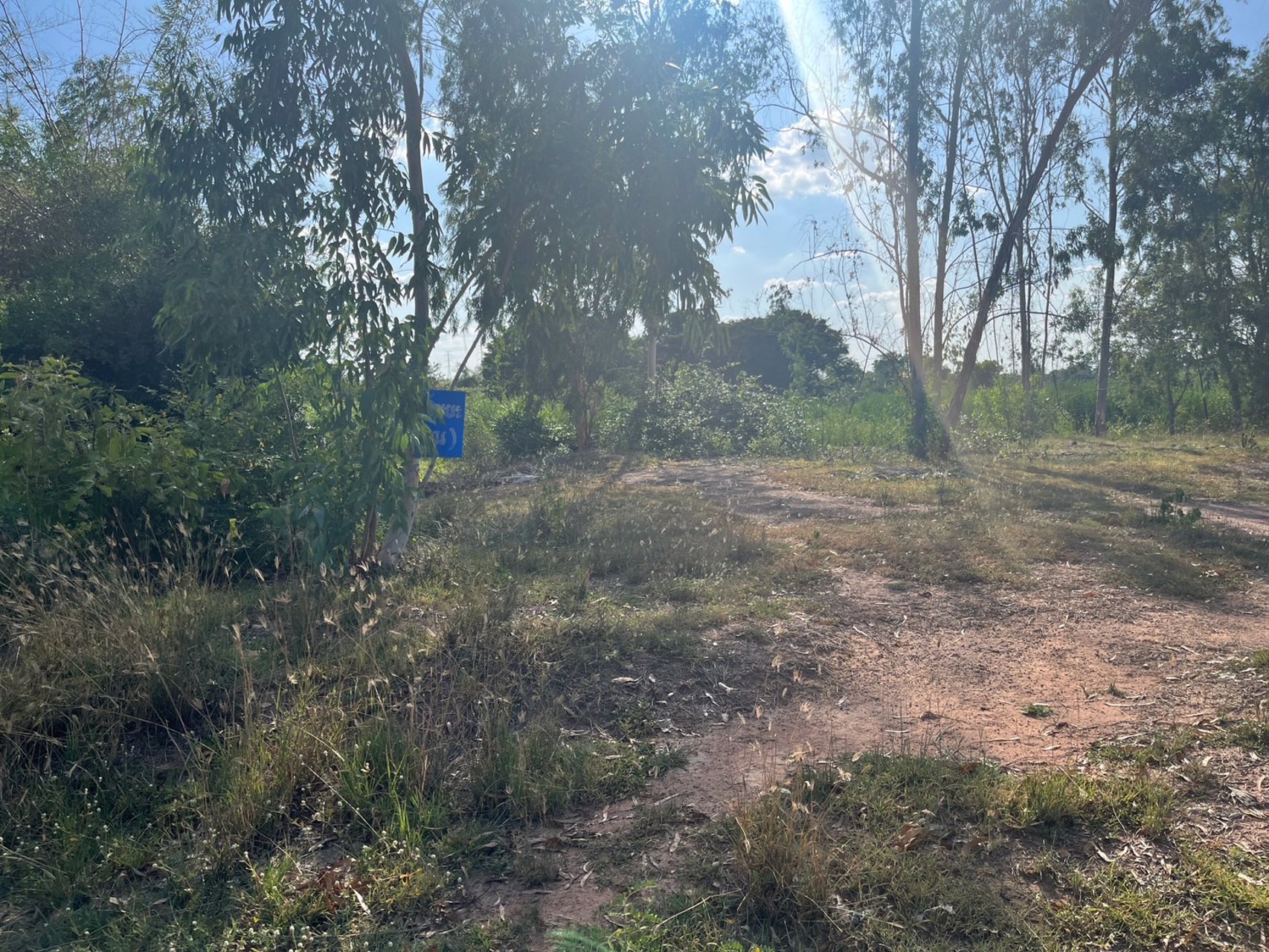 ขายที่ดินทำเลทองใกล้ถนนมิตรภาพ-144-ตรวโคราช