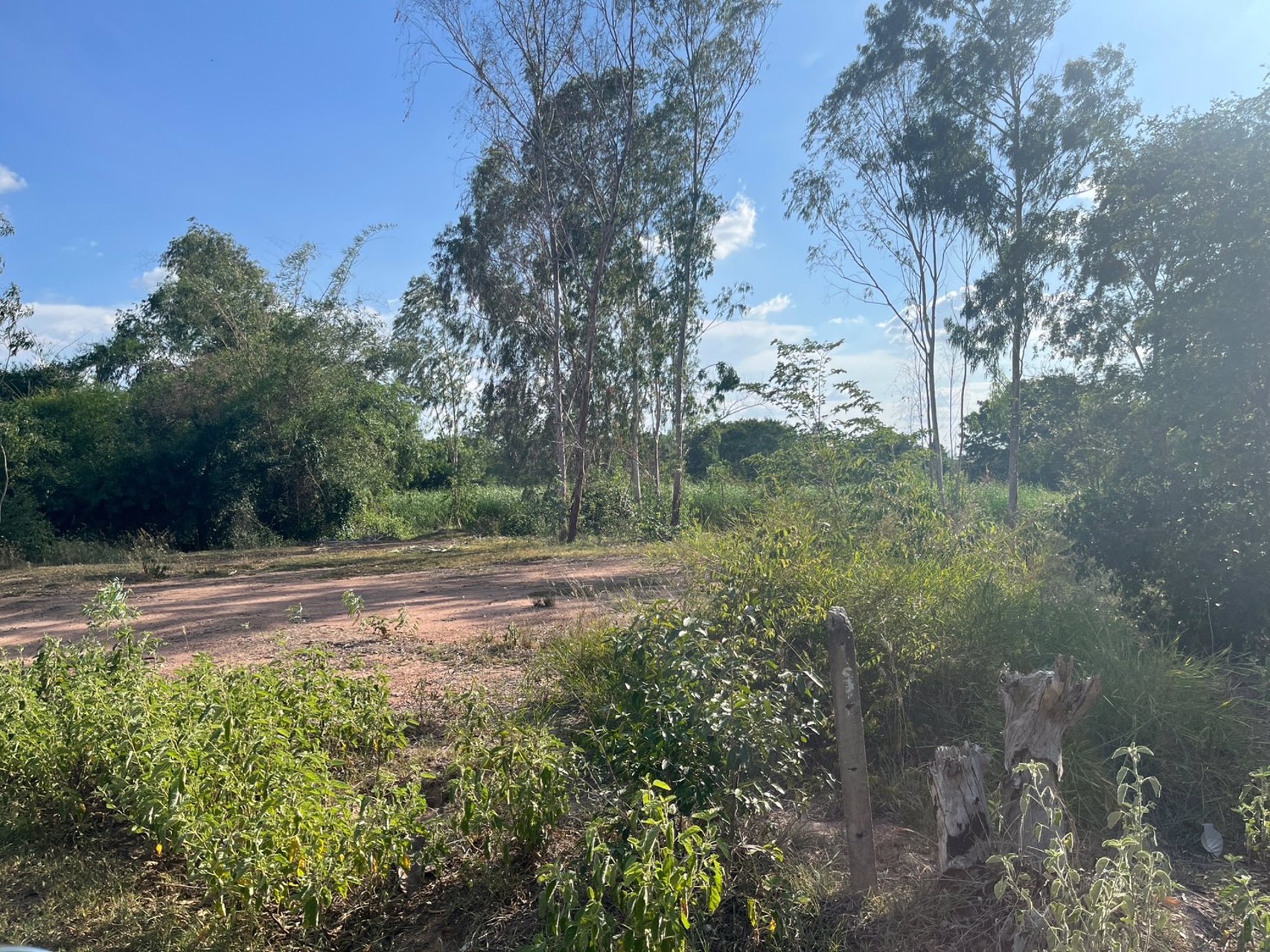 ขายที่ดินทำเลทองใกล้ถนนมิตรภาพ-144-ตรวโคราช