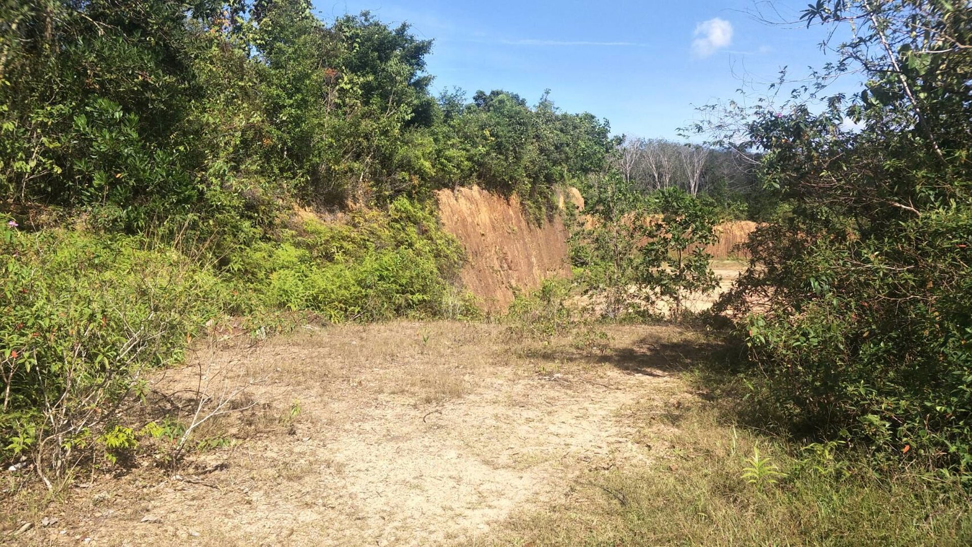 ขายที่ดิน-36ไร่-2งาน-919ตารางวา-อำเภอระแงะ-จังหวัดนราธิวาส