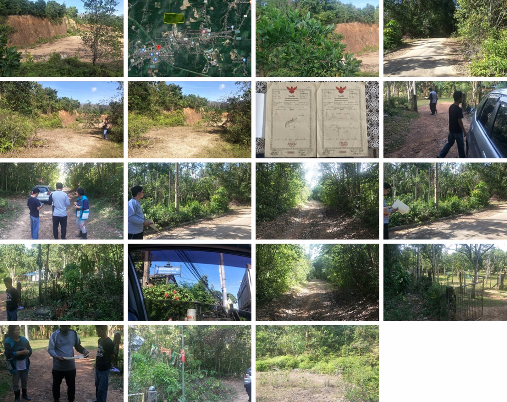 ขายที่ดิน-36ไร่-2งาน-919ตารางวา-อำเภอระแงะ-จังหวัดนราธิวาส