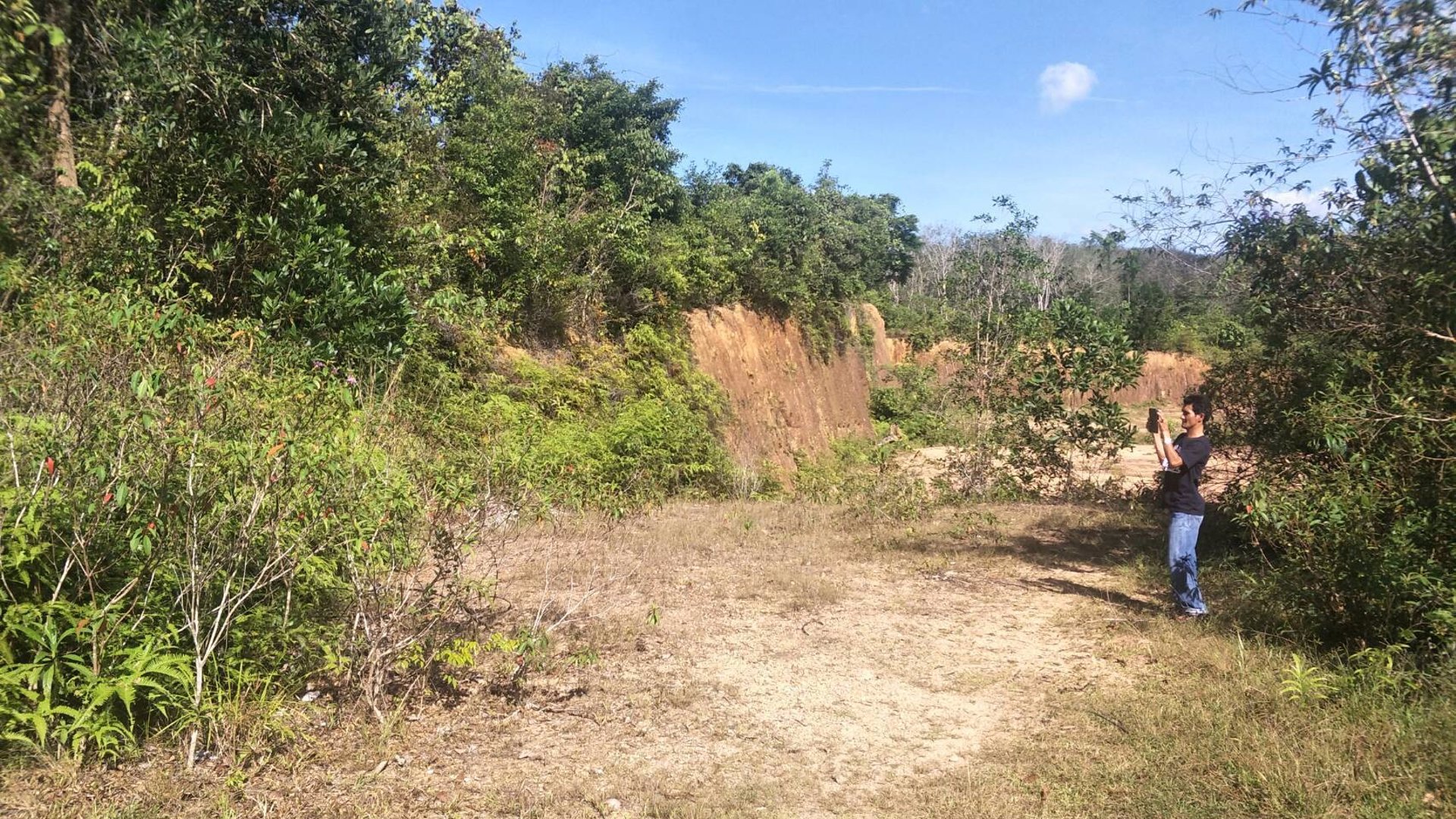 ขายที่ดิน-36ไร่-2งาน-919ตารางวา-อำเภอระแงะ-จังหวัดนราธิวาส